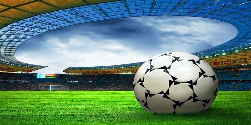 Kỹ năng chơi cá độ hiệu quả nắm rõ thông tin các phân loại cược